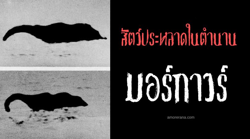มอร์กาวร์ (Morgawr) สัตว์ประหลาดคอยาวแห่งท้องทะเล ประเทศอังกฤษ
