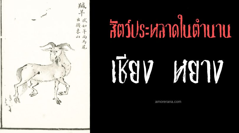 เชียง หยาง (Qian Yang) แพะแห่งขุนเขา ประเทศจีน