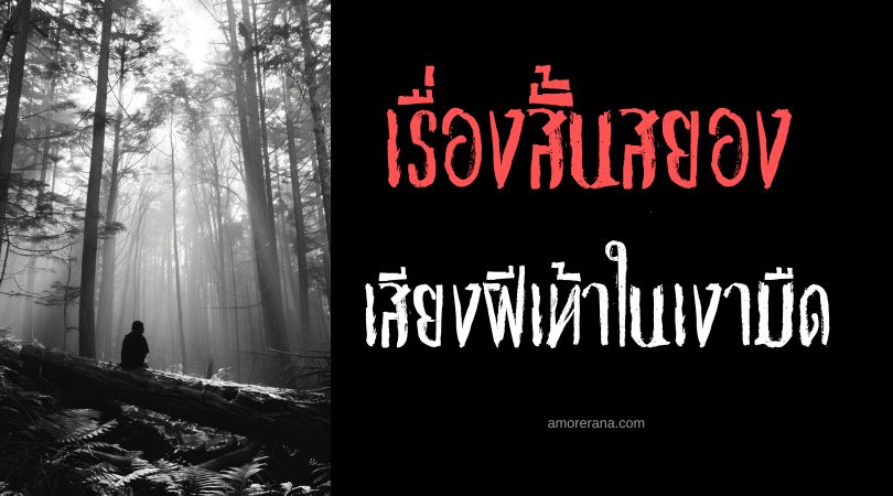 เรื่องสยองขวัญสั้น ๆ : เสียงฝีเท้าในเงามืด