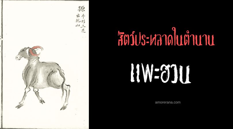 แพะฮวน (Huan Goat) แพะไร้ปาก ประเทศจีน