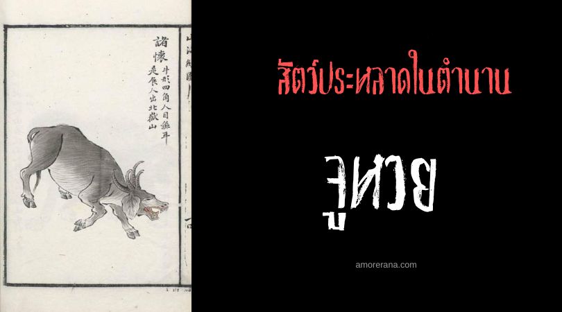 จูหวย (Zhuhuai) กระทิงล่ามนุษย์ ประเทศจีน