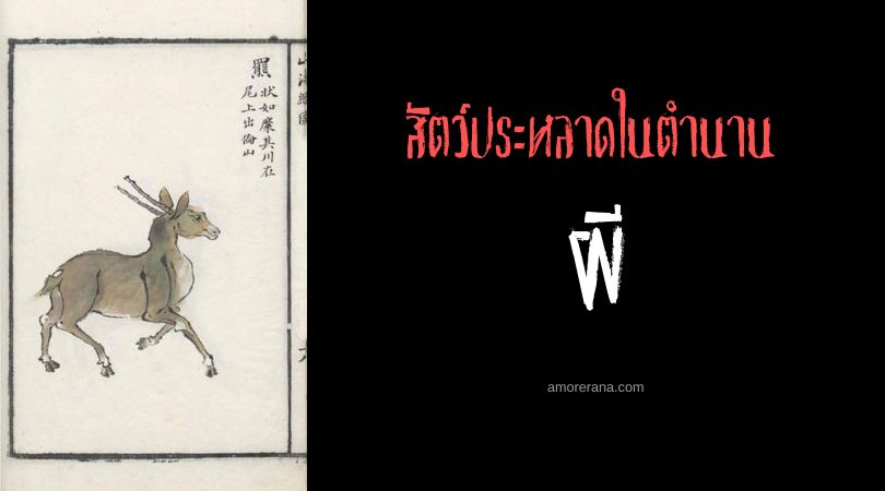 ผี (Pi) กวางทวารราก ประเทศจีน