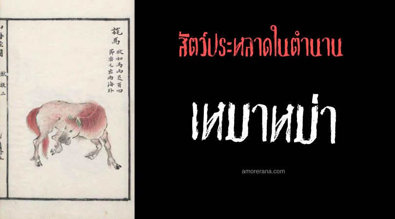 เหมาหม่า (Maoma) อาชาพิสดาร ประเทศจีน