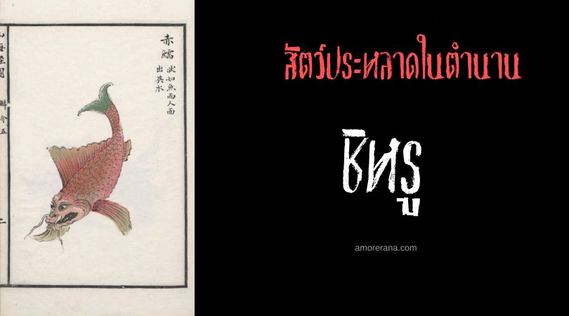 ชิหรู (Chiru ) สัตว์ประหลาดรักษาโรคหิด ประเทศจีน