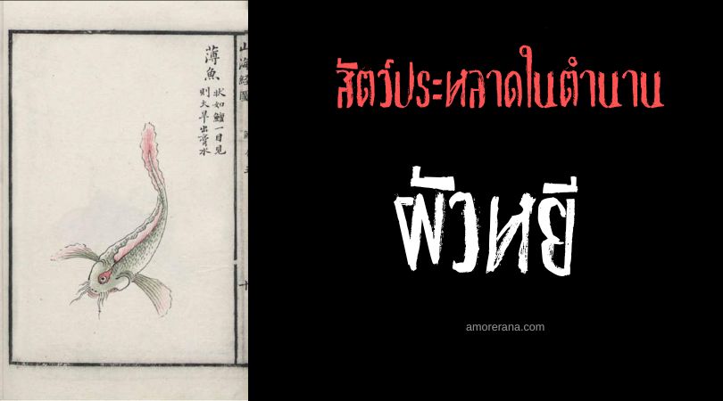 ผัวหยี (Baoyu) ปลาตาเดียว ประเทศจีน